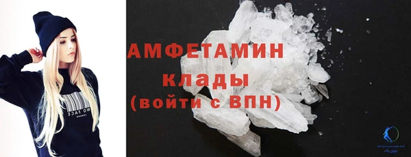 ГАЛЛЮЦИНОГЕННЫЕ ГРИБЫ Гусь-Хрустальный