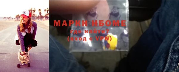 ГАЛЛЮЦИНОГЕННЫЕ ГРИБЫ Гусь-Хрустальный