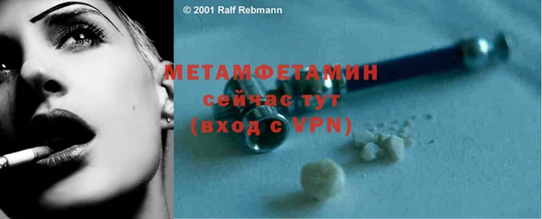 ГАЛЛЮЦИНОГЕННЫЕ ГРИБЫ Гусь-Хрустальный
