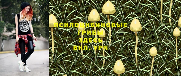 амф Горнозаводск