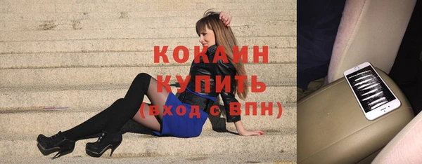 ГАЛЛЮЦИНОГЕННЫЕ ГРИБЫ Гусь-Хрустальный