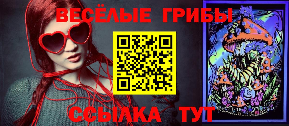 Псилоцибиновые грибы мицелий  Вход с VPN  Донецк 