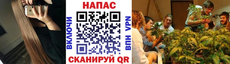 ОМГ ОМГ зеркало  Донецк  Бошки Шишки семена 